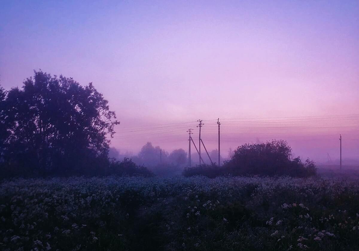 意甲媒体透露：如果米兰出售帝奥，莱奥尼就是米兰的首要目标，他被所有人欣赏